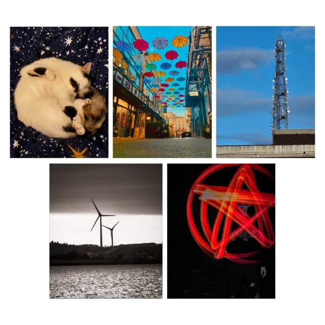 Collage of the young photographers photos