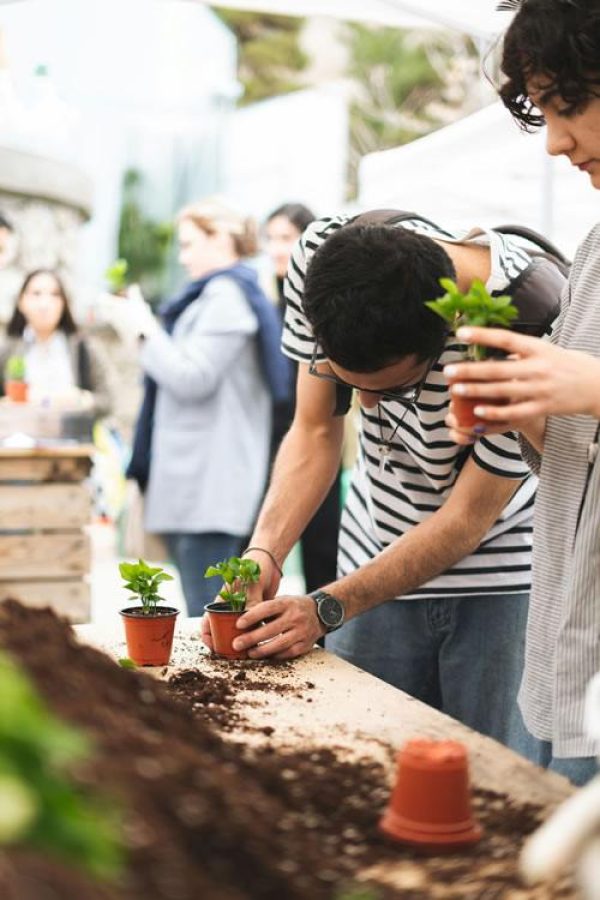 A person potting small plants into terracotta pots at an outdoor gardening table, with others working alongside.