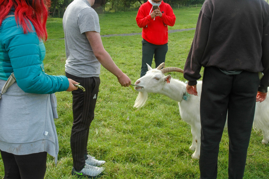 Students Petting goat