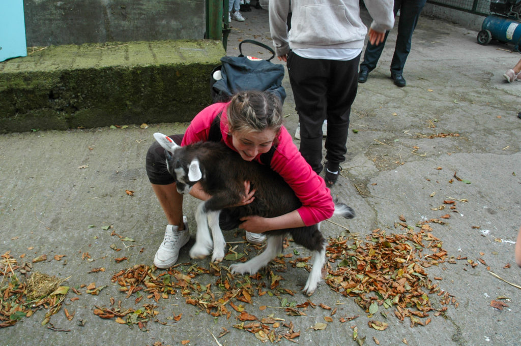 Student hugging goat