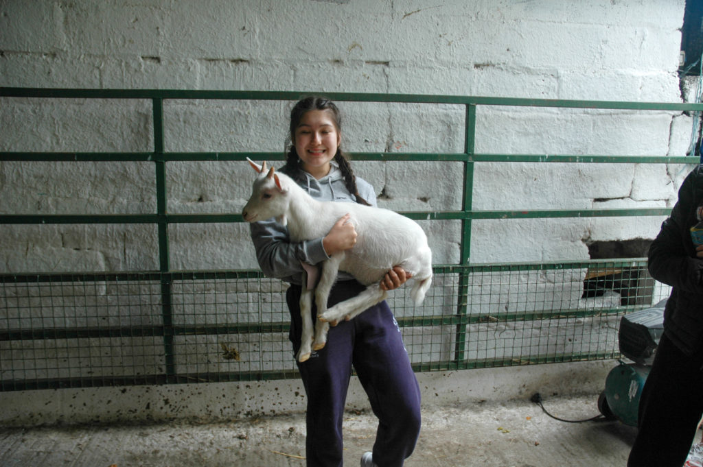 Student Lifting Goat