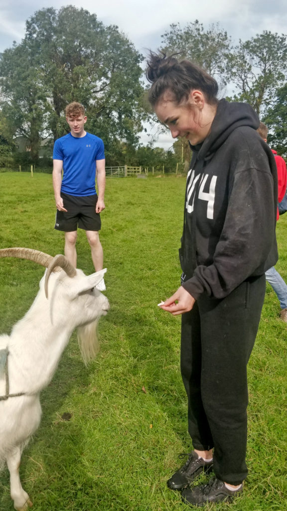 Student feeding goat