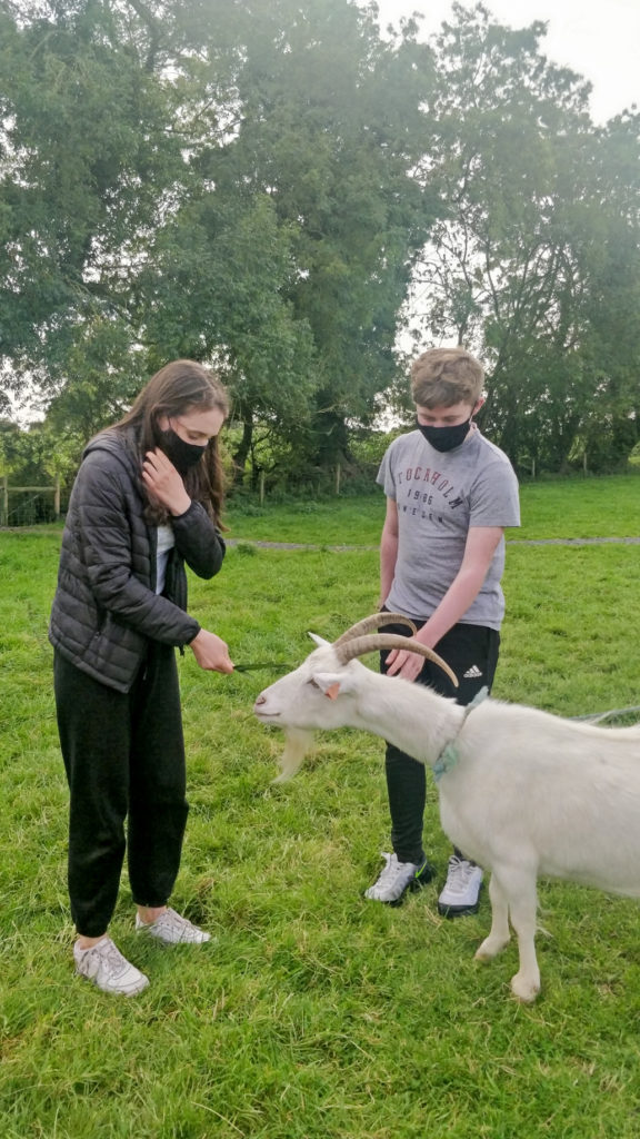 Student feeding goat, while another pets it