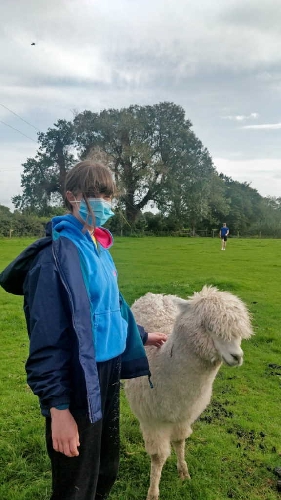 Student Petting Alpaca