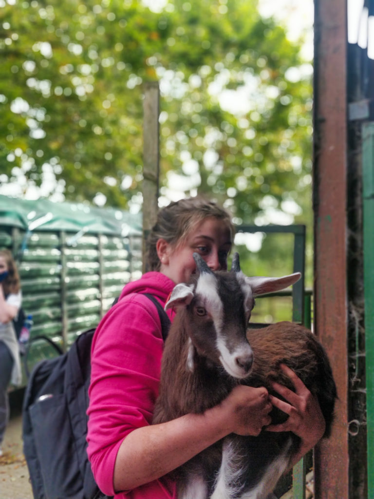Student lifting goat