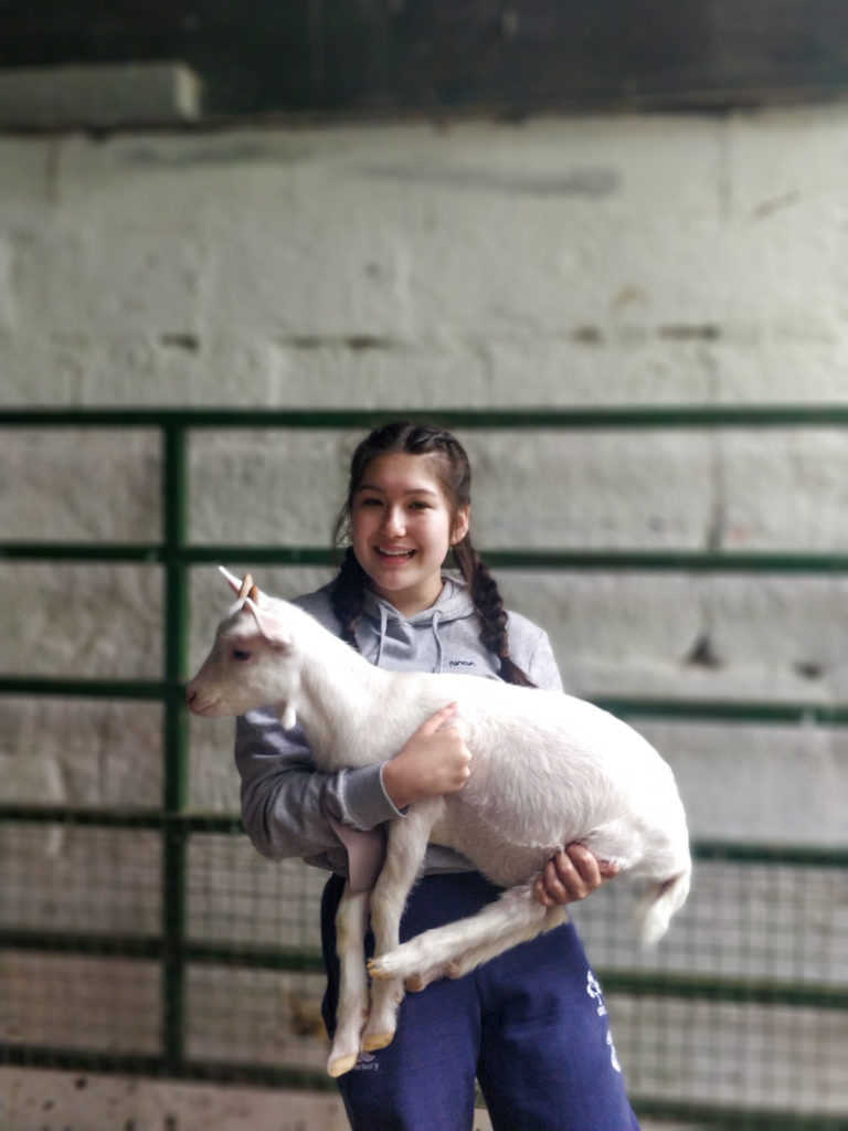 Student holding lamb