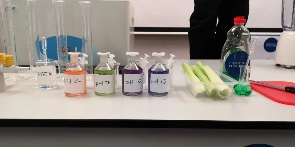 Four labelled science bottles at different pH levels, ranging from orange to purple, on a lab bench next to a tray of celery sticks.
