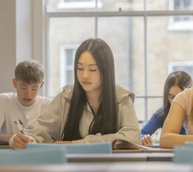 Students studying diligently
