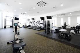 Gym: Row of treadmills and cardio equipment in a bright fitness room.