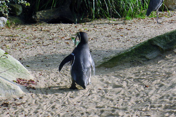 Trip to Dublin Zoo